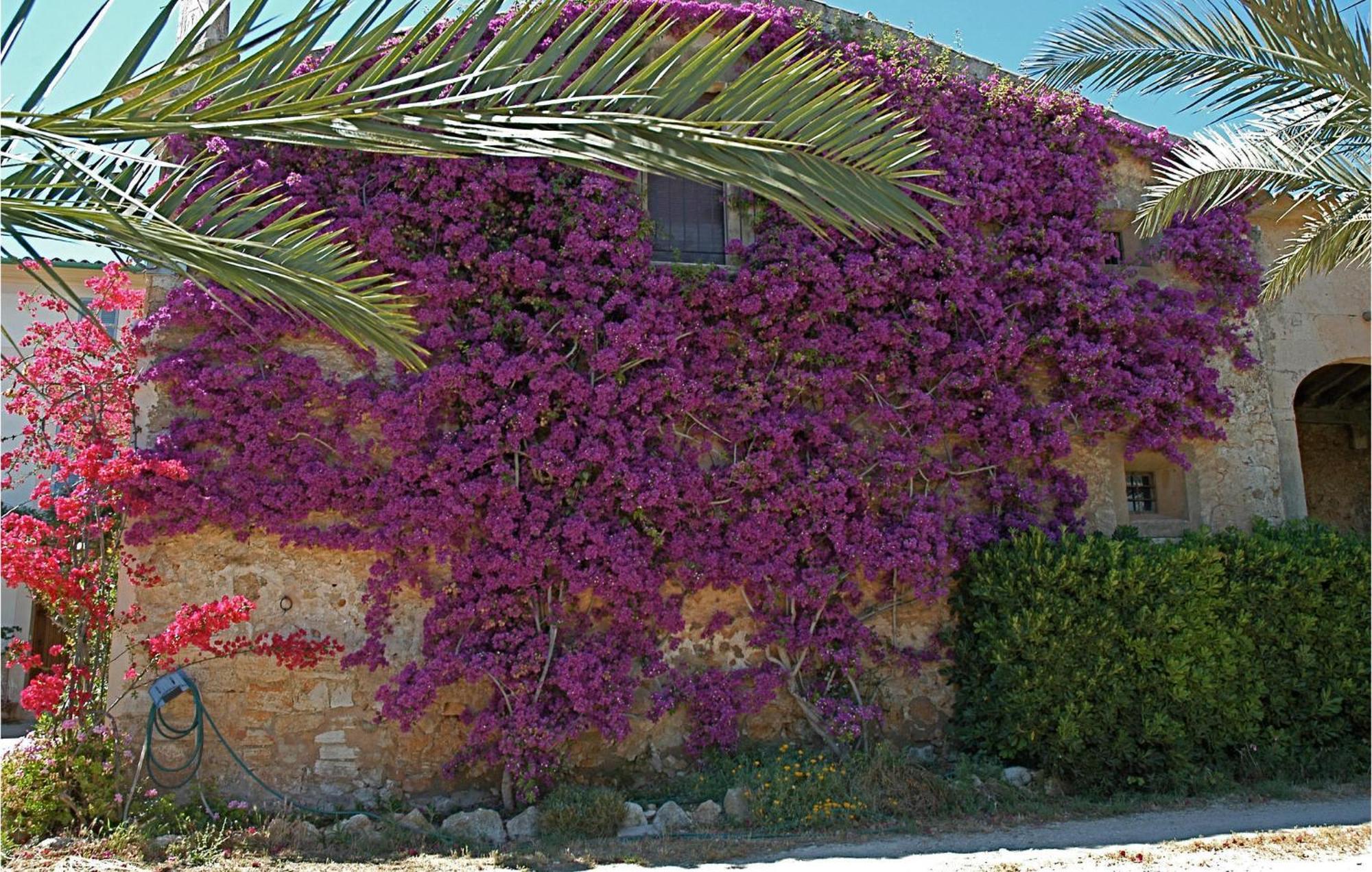 Lovely In * Porreres